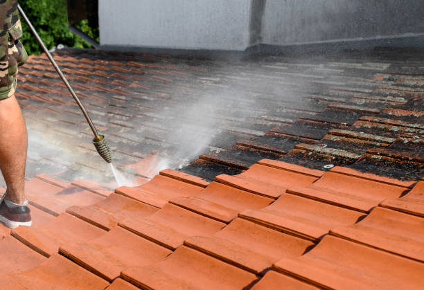 Best Power Washing Near Me  in Barton Creek, TX